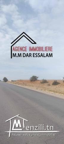 terrain à menzel temime