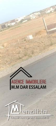 terrain à menzel temime