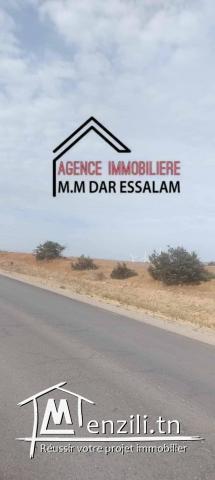 terrain à menzel temime