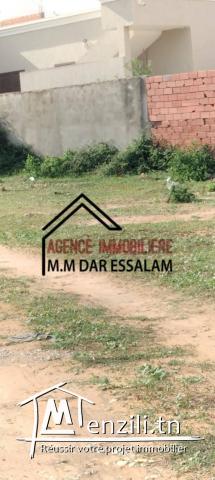 298 m² à vendre à dar allouche