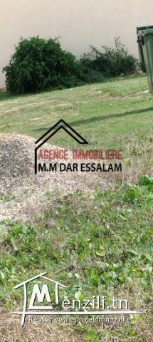 298 m² à vendre à dar allouche