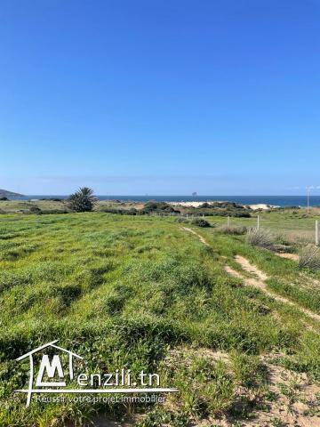 Magnifique terrain vue mer à Kef Abed Bizerte