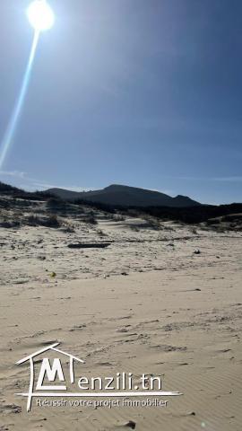 Magnifique terrain vue mer à Kef Abed Bizerte
