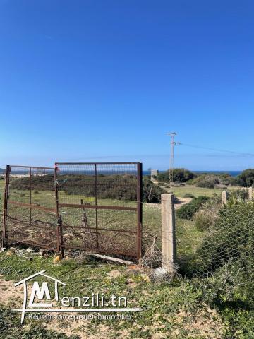 Magnifique terrain vue mer à Kef Abed Bizerte