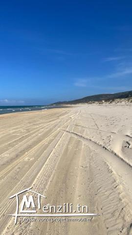 Magnifique terrain vue mer à Kef Abed Bizerte