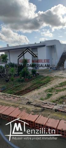 villa avec un grand jardin