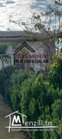 villa avec un grand jardin