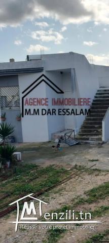 villa avec un grand jardin