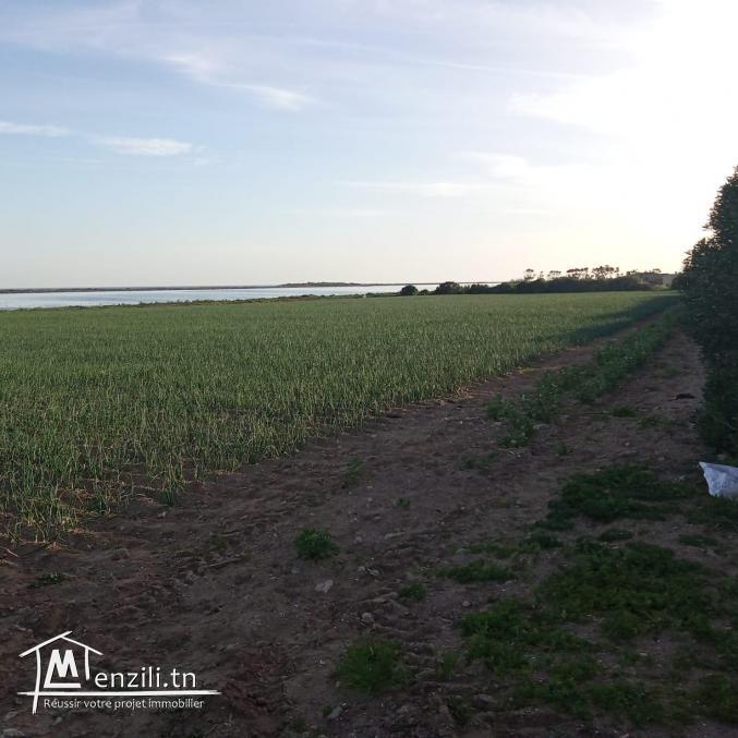 À vendre un lot 16161 m²