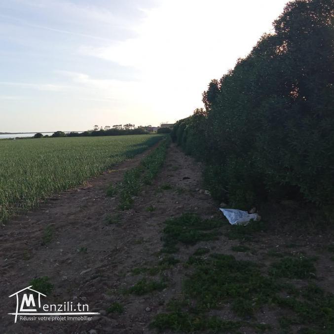 À vendre un lot 16161 m²