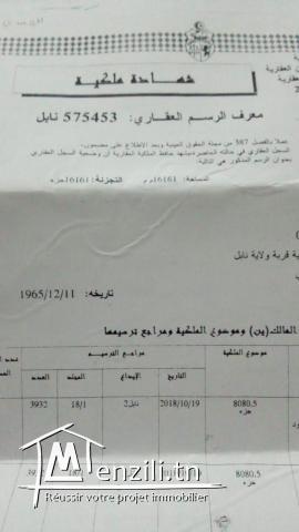 À vendre un lot 16161 m²