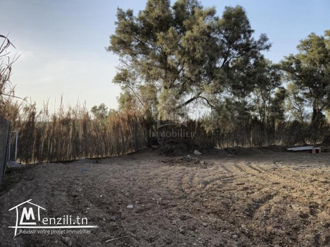 Terrain clôturé de 580 m² à Maamoura à vendre 51355351