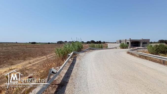 un terrain 1 klm de la plage à dar Allouche kélibia