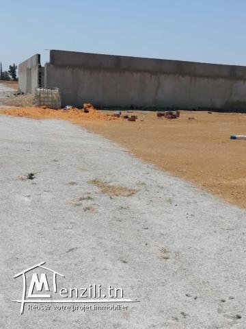 un terrain 1 klm de la plage à dar Allouche kélibia