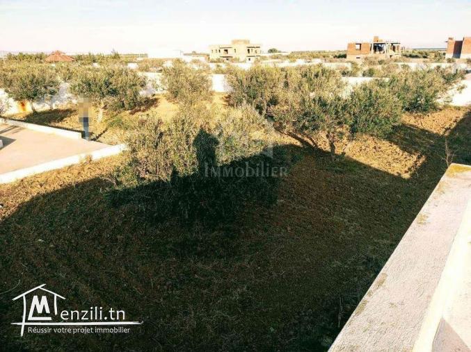 Un terrain de 2100 m² avec 1 studio à Hammamet Sud à vendre 51355351