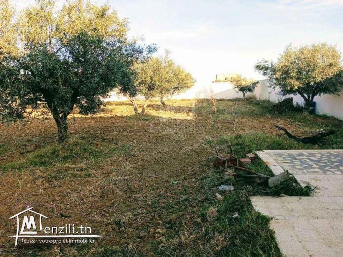 Un terrain de 2100 m² avec 1 studio à Hammamet Sud à vendre 51355351