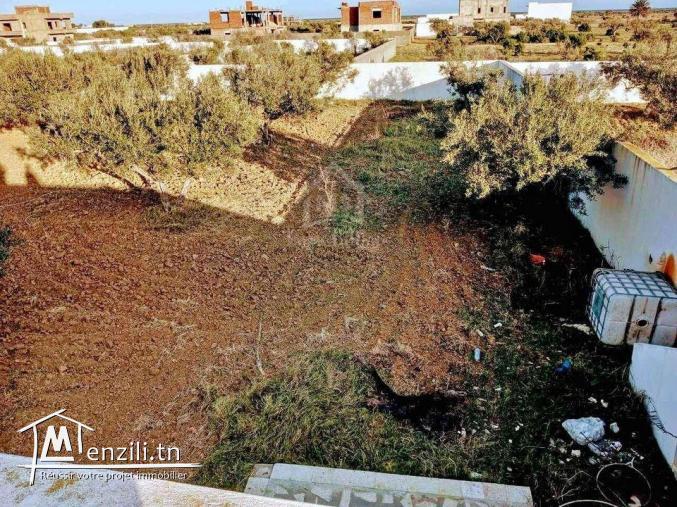 Un terrain de 2100 m² avec 1 studio à Hammamet Sud à vendre 51355351