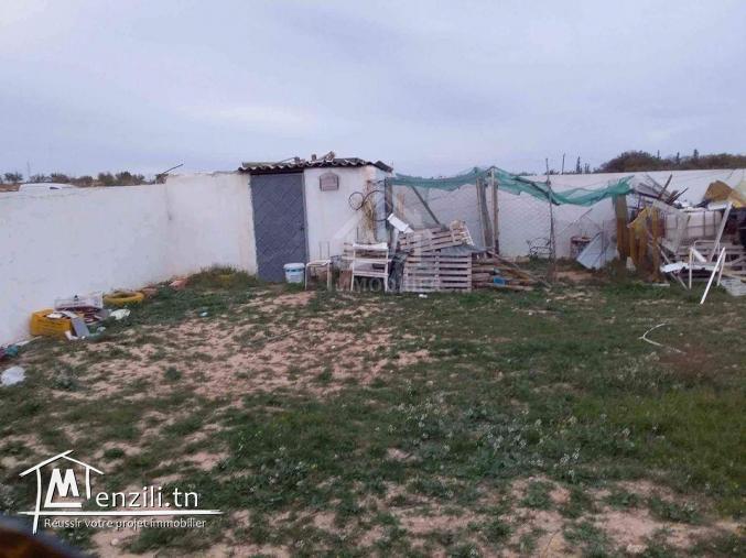 Terrain clôturé à vendre à 105 MD à Hammamet Sud 51355351