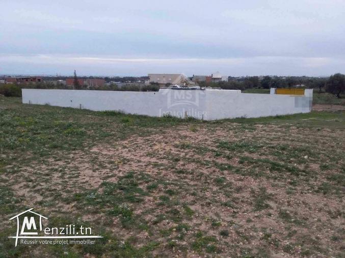 Terrain clôturé à vendre à 105 MD à Hammamet Sud 51355351