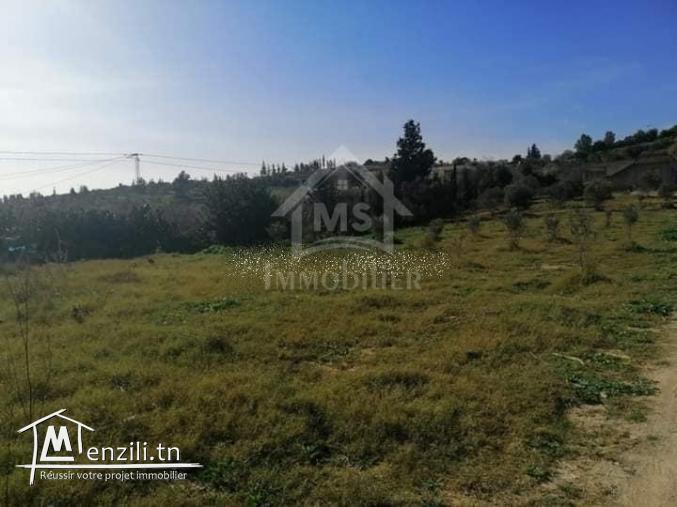 Terrain de 2500 m² à vendre à 270 MD à Hammamet Sud 51355351