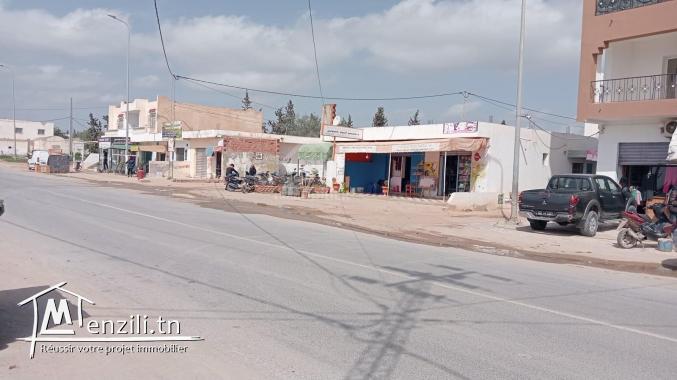 Deux lots de terrain à vendre à Hammamet Sud 51355351