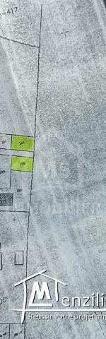 Deux lots de terrain à vendre à Hammamet Sud 51355351