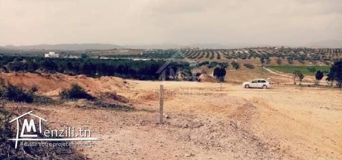Terrain avec vue de mer de 2000 m² à Hammamet Sud à vendre 51355351