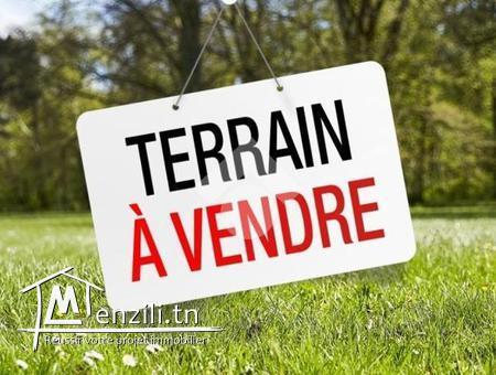 a vendre terrain de promotion