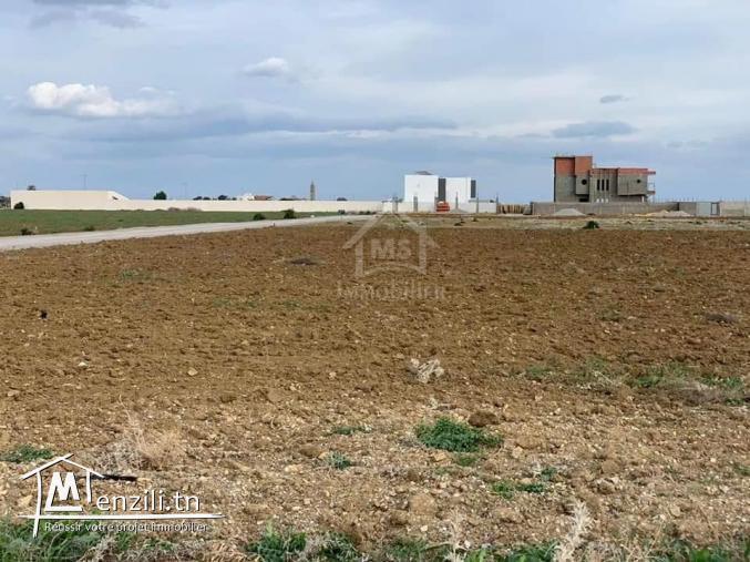 Un terrain de 1428 m² à KM71 à vendre 51355351