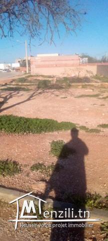 Terrin bonne affaire