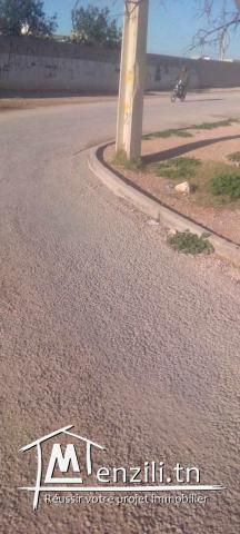 Terrin bonne affaire