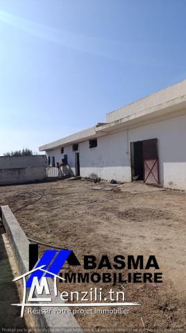 Une ferme de huit hectares à vendre situé à kalaa kbira Henia