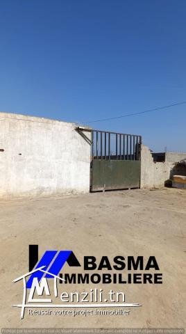 Une ferme de huit hectares à vendre situé à kalaa kbira Henia