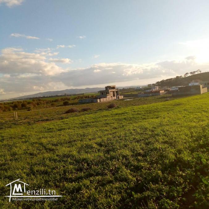 Terrain à vendre de 2000 m2