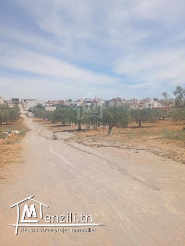 Terrain de 2000 m² à Hammamet Sud à vendre 51355351