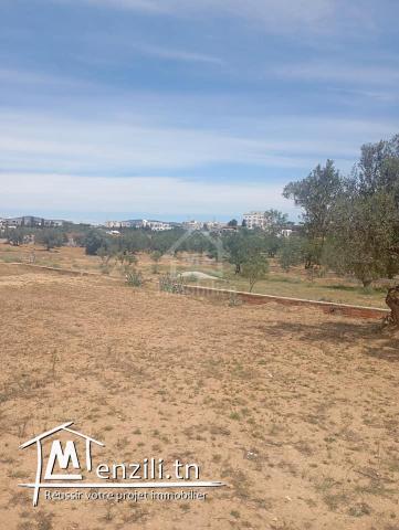 Terrain de 2000 m² à Hammamet Sud à vendre 51355351