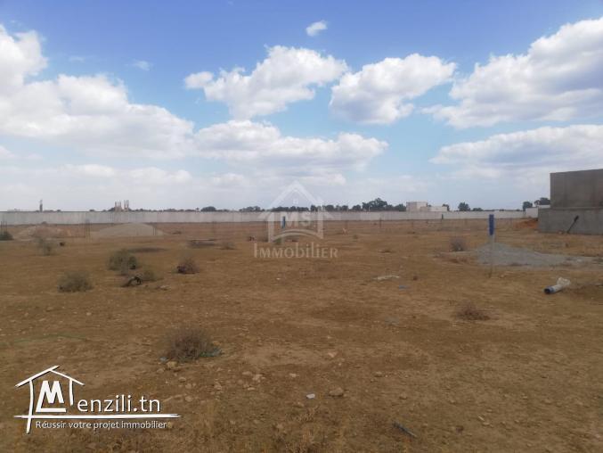 Deux lots de terrain jumelés et clôturés de 527 m² à vendre 51355351