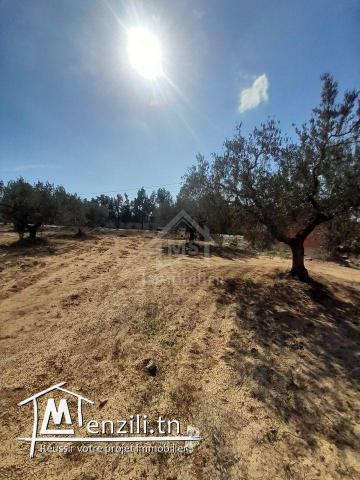 Un terrain de 200 m² sur la route principale à Hammamet Sud 51355351