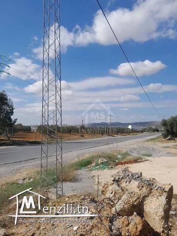Un terrain de 200 m² sur la route principale à Hammamet Sud 51355351