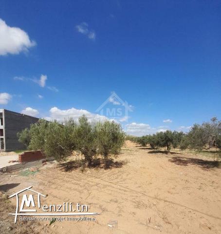 Un terrain de 200 m² sur la route principale à Hammamet Sud 51355351