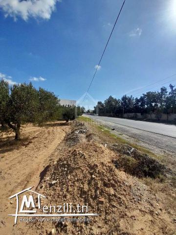 Un terrain de 200 m² sur la route principale à Hammamet Sud 51355351