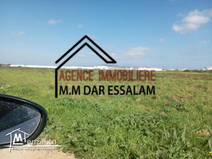 terrain agricole à vendre d'une superficie de 2 hectares