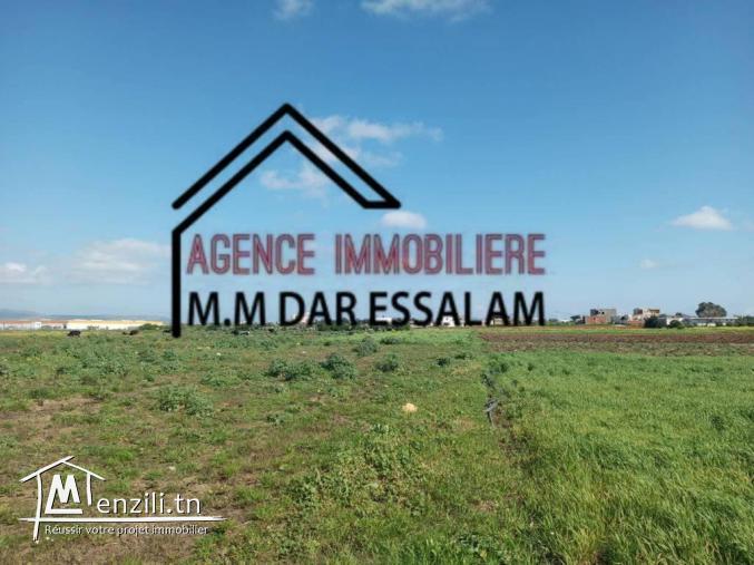 terrain agricole à vendre d'une superficie de 2 hectares