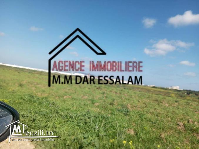 terrain agricole à vendre d'une superficie de 2 hectares