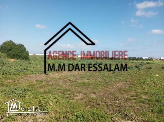 terrain agricole à vendre d'une superficie de 2 hectares