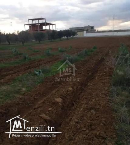 Terrain de 1000 m² à birbouragba à vendre 51355351