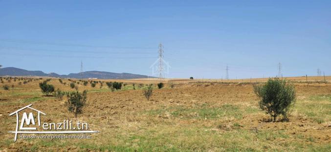 Terrain de 6.5 hectares avec une maison à vendre 51355351