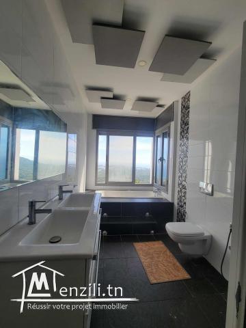 belle villa avec piscine