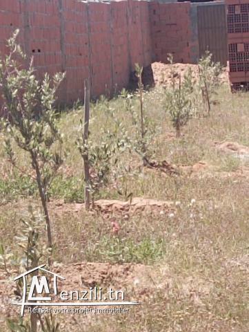 Terrain avec studio à Birbouragba à vendre à 80 MD 51355351