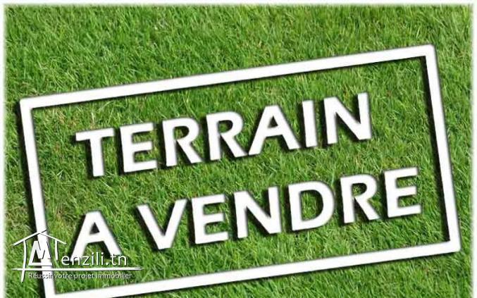 Un terrain de 350 m² à vendre située à Akouda
